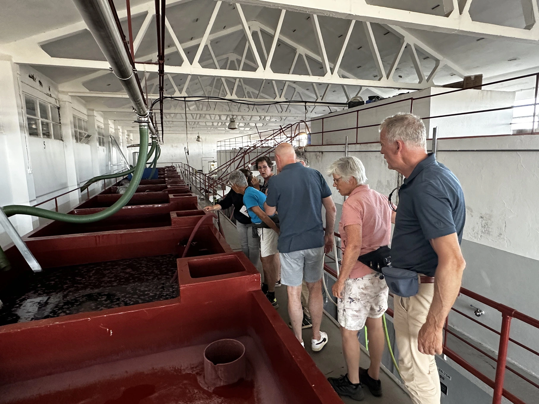 row for fun douro winery tour 1